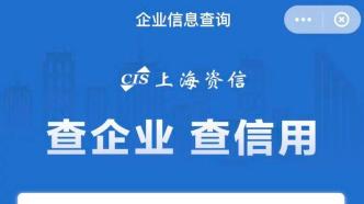 中國(guó)銀聯(lián)信息咨詢服務(wù)概覽