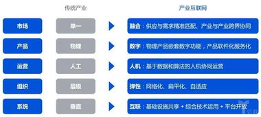產(chǎn)業(yè)互聯(lián)網(wǎng)生態(tài)新圖景 網(wǎng)絡(luò)技術(shù)服務(wù)驅(qū)動數(shù)字未來